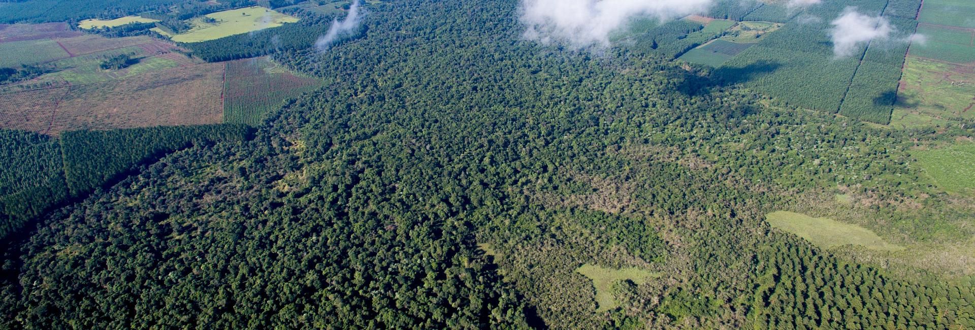 Sustainable Management