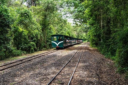 Ecological Train of the Jungle